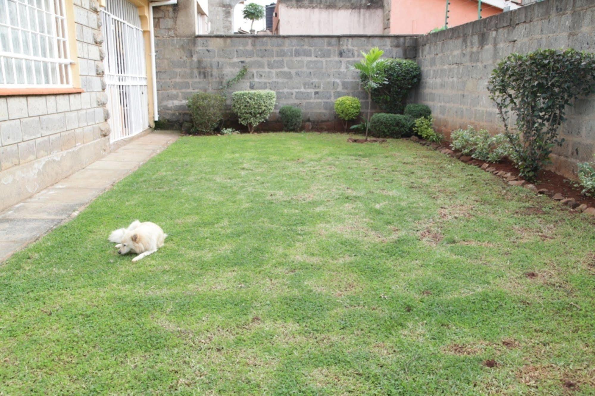 Mdawida Homestay Nairobi Eksteriør billede